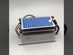 Κατασκευαστής Πιστοποίηση CE νέος γεννήτης όζοντος 10g διπλή κεραμική πλάκα μακροχρόνια ζωή μέρη όζοντος